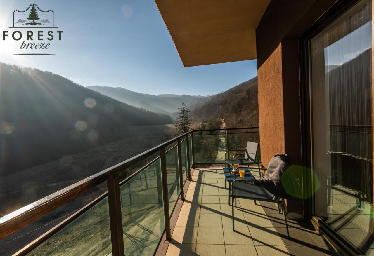 Forest Breeze Apartterrace Brasov Exterior photo