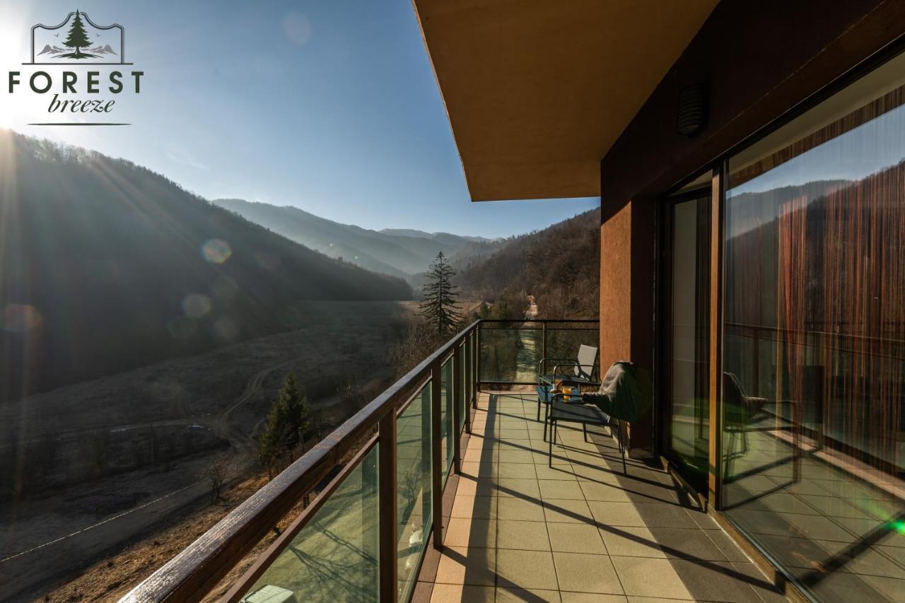 Forest Breeze Apartterrace Brasov Exterior photo