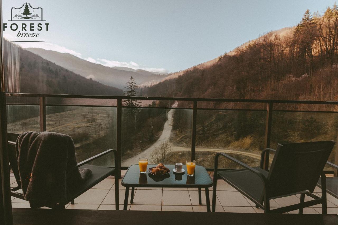 Forest Breeze Apartterrace Brasov Exterior photo