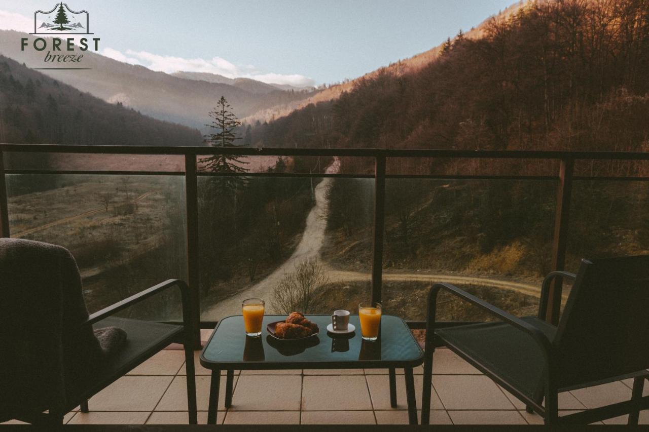 Forest Breeze Apartterrace Brasov Exterior photo