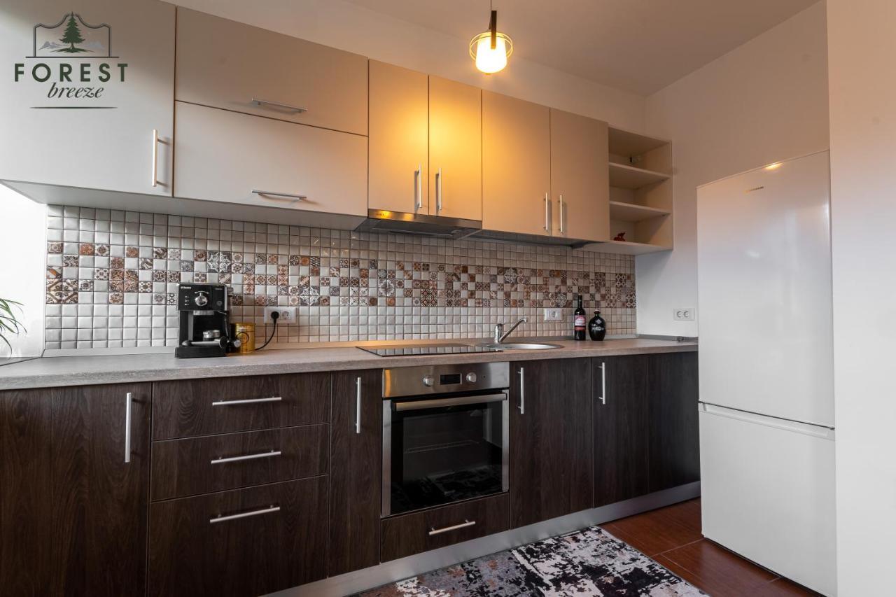Forest Breeze Apartterrace Brasov Exterior photo