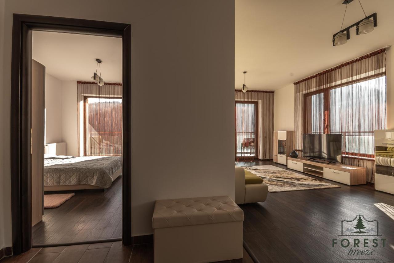 Forest Breeze Apartterrace Brasov Exterior photo