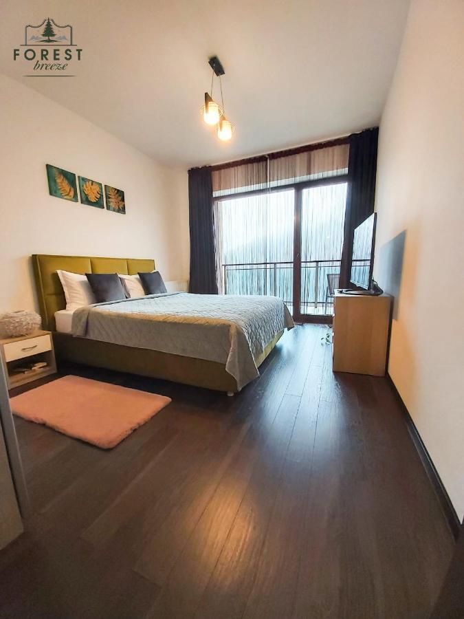 Forest Breeze Apartterrace Brasov Exterior photo