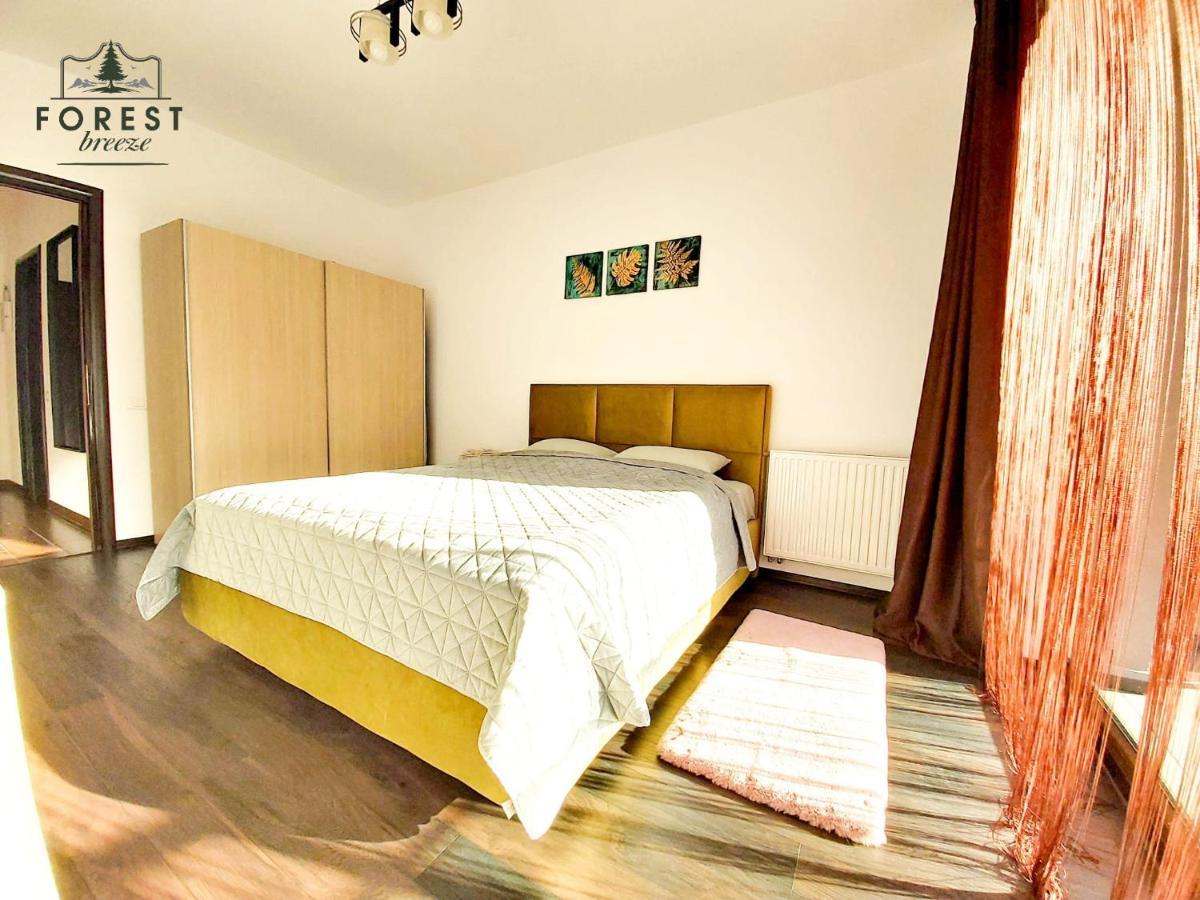 Forest Breeze Apartterrace Brasov Exterior photo
