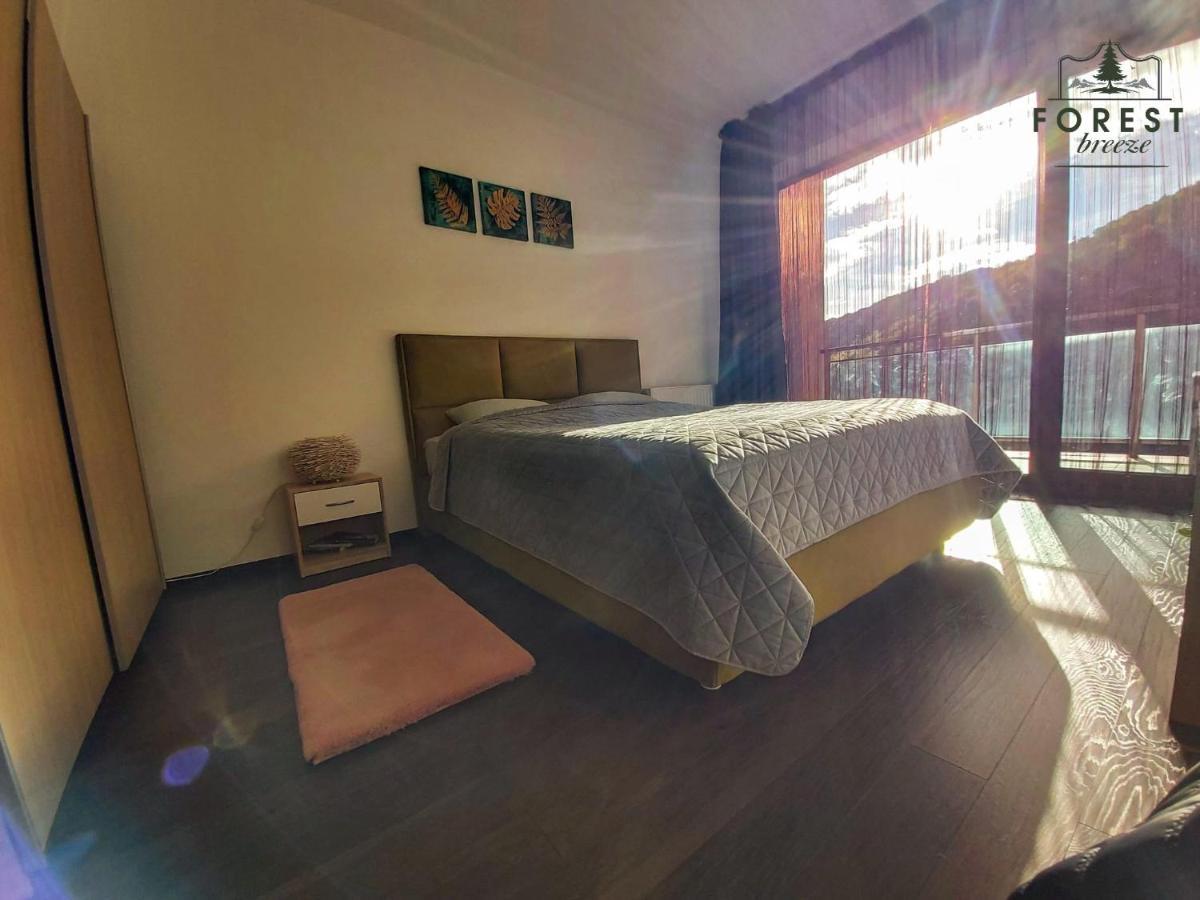 Forest Breeze Apartterrace Brasov Exterior photo