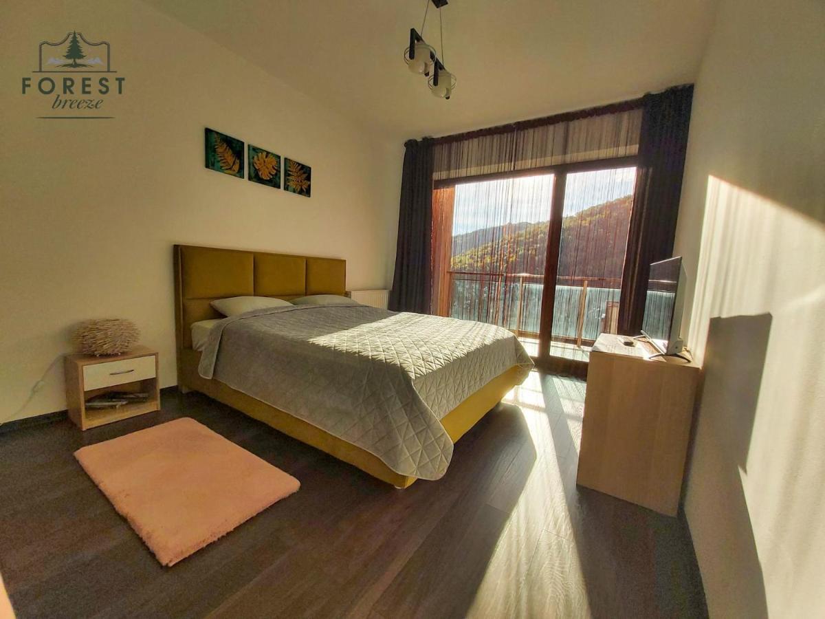 Forest Breeze Apartterrace Brasov Exterior photo